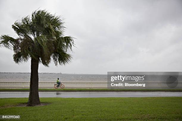 Man rides a bike on Bayshore Blvd along the edge of Tampa Bay ahead of Hurricane Irma in Tampa, Florida, U.S., on Sunday, Sept. 10, 2017. Hurricane...