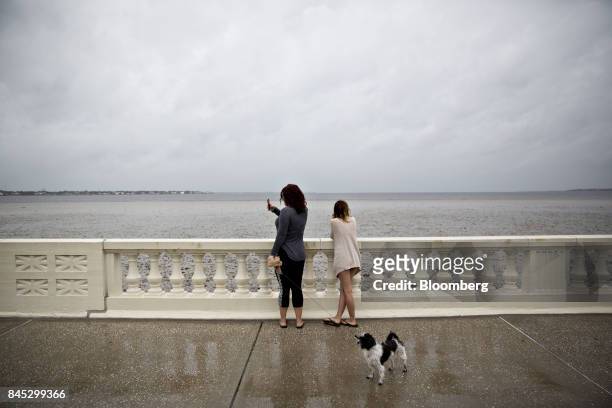 Two women stand with a dog as they overlook Tampa Bay, where the normally 3' deep water had receded approximately 150 ft. Off shore, ahead of...