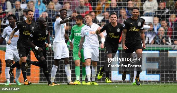 Newcastle goalscorer Jamaal Lascelles celebrates after scoring the winning goal during the Premier League match between Swansea City and Newcastle...