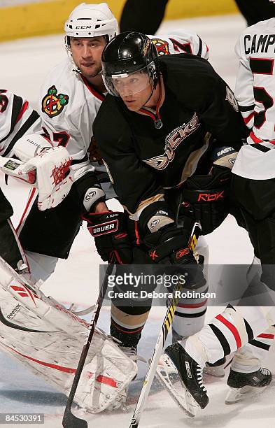 Adam Burish of the Chicago Blackhawks fights for position against Teemu Selanne of the Anaheim Ducks during the game on January 28, 2009 at Honda...