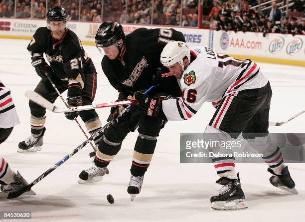 Andrew Ladd of the Chicago Blackhawks battles for the puck against Corey Perry of the Anaheim Ducks during the game on January 28, 2009 at Honda...