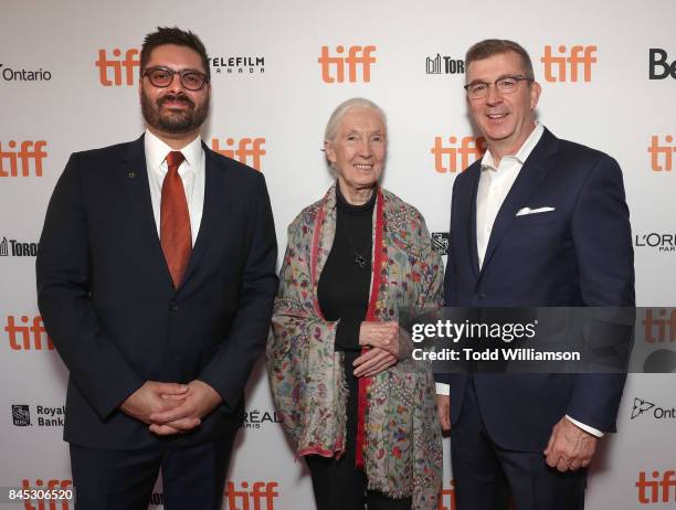 Tim Goodall Tim Goodall Photos and Premium High Res Pictures - Getty Images