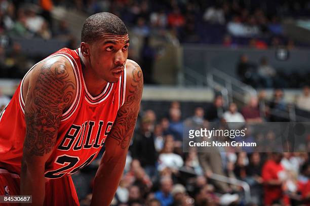 Tyrus Thomas of the Chicago Bulls looks on during their game against the Los Angeles Clippers at Staples Center January 28, 2009 in Los Angeles,...