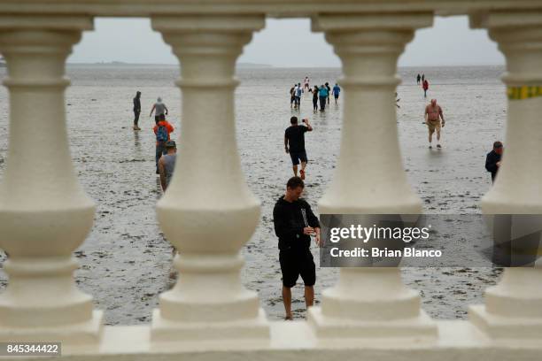 Residents inspect the extreme receding water in Tampa Bay ahead of Hurricane Irma on September 10, 2017 in Tampa, Florida. Hurricane Irma made...