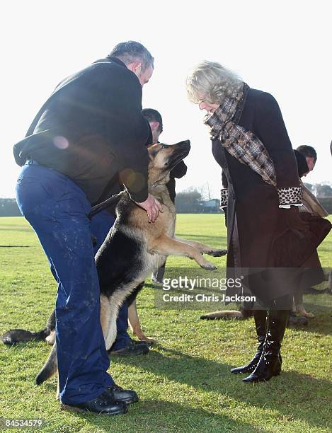Camilla, Duchess of Cornwall meets German Shepherd Dogs and their handlers at the Metropolitan Police Dog Training Centre on January 29, 2009 in...