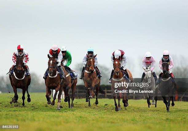 The runners and riders make their way down the back straight during European Breeders' Funds Mares' 'National Hunt' Novices' Hurdle race at Wincanton...