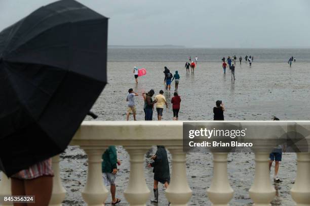 Residents inspect the extreme receding water in Tampa Bay ahead of Hurricane Irma on September 10, 2017 in Tampa, Florida. Hurricane Irma made...