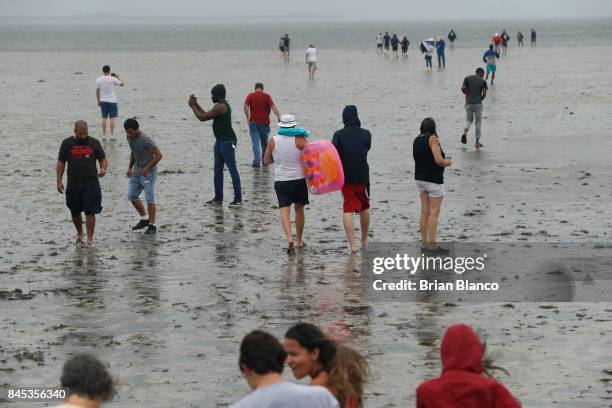 Residents inspect the extreme receding water in Tampa Bay ahead of Hurricane Irma on September 10, 2017 in Tampa, Florida. Hurricane Irma made...