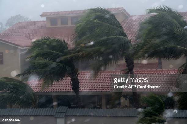 Palm trees blow in the winds of hurricane Irma in Bonita Springs, Florida, northeast of Naples, on September 10, 2017. Hurricane Irma regained...