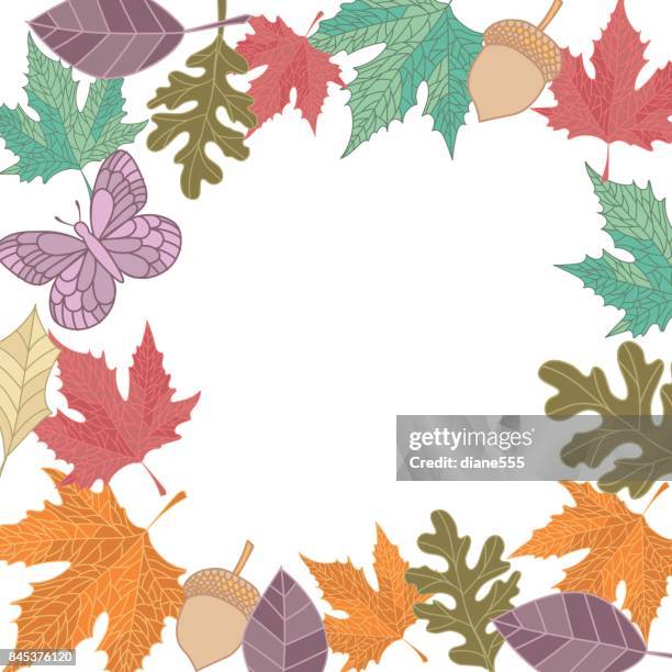 hand drawn fall leaves background - ash tree stock illustrations