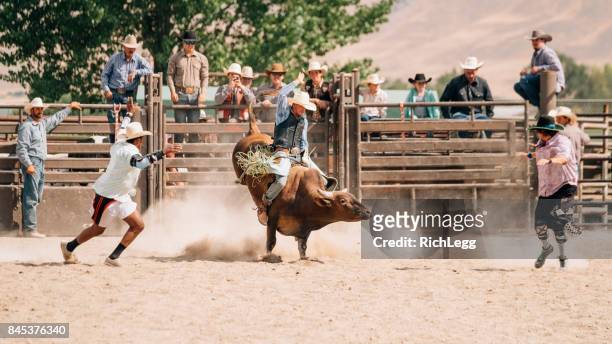 cowboy levensstijl in utah - bull riding stockfoto's en -beelden