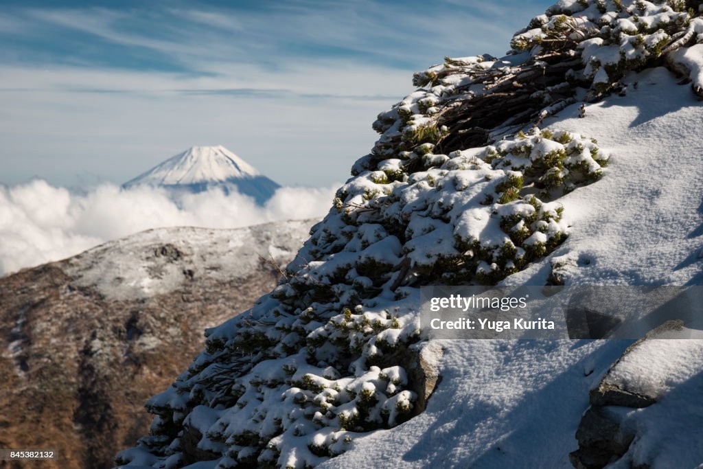 Mt. Fuji from a Snowy High Mountain