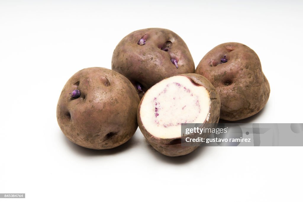 Fresh organic potato