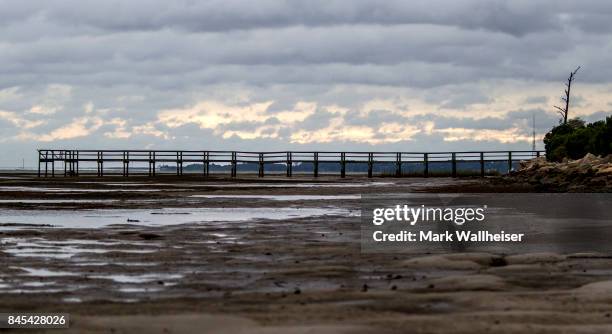 The counterclockwise circulation of Hurricane Irma pulls the Apalachicola Bay away from land September 10, 2017 near Eastpoint in the Florida...