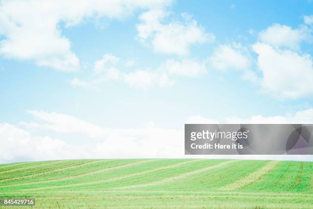 biei landscape - grass area stock pictures, royalty-free photos & images