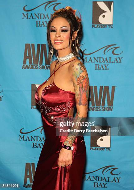 Adult Film Star Angelina Valentine arrives on the red carpet at the 2009 AVN Awards Show at the Sands Expo Convention Center on January 10, 2009 in...