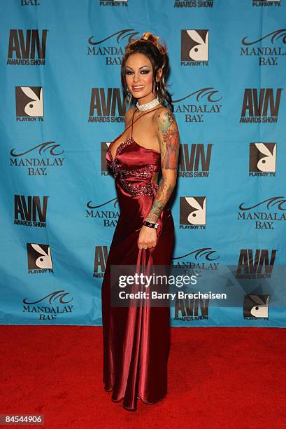 Adult Film Star Angelina Valentine arrives on the red carpet at the 2009 AVN Awards Show at the Sands Expo Convention Center on January 10, 2009 in...