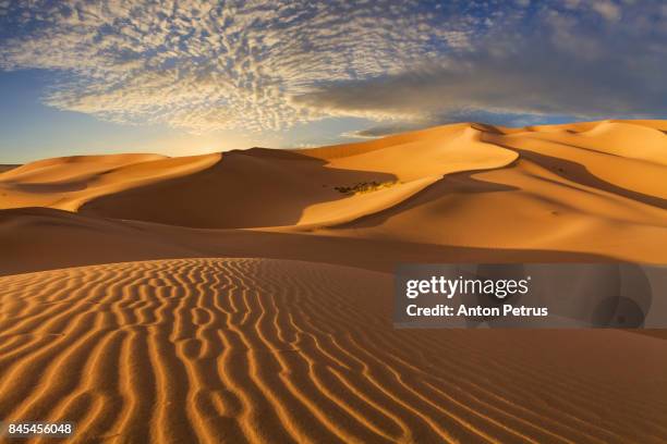 sand dunes in the desert at sunset - independent mongolia stock-fotos und bilder
