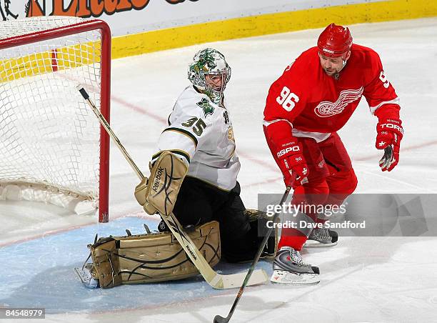 Tomas Holmstrom of the Detroit Red Wings provides a screen as Marty Turco of the Dallas Stars is beat on this play during their NHL game at Joe Louis...