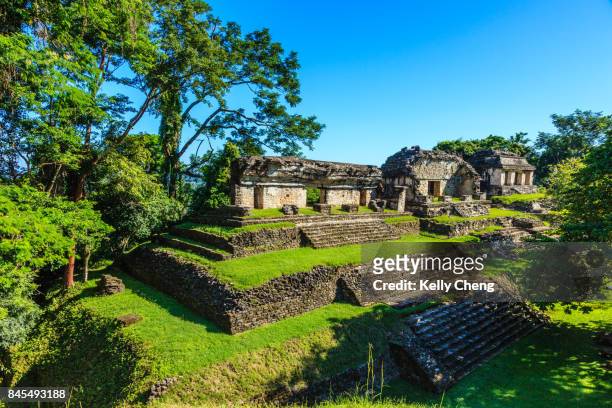 pre-hispanic city and national park of palenque - palenque stock-fotos und bilder