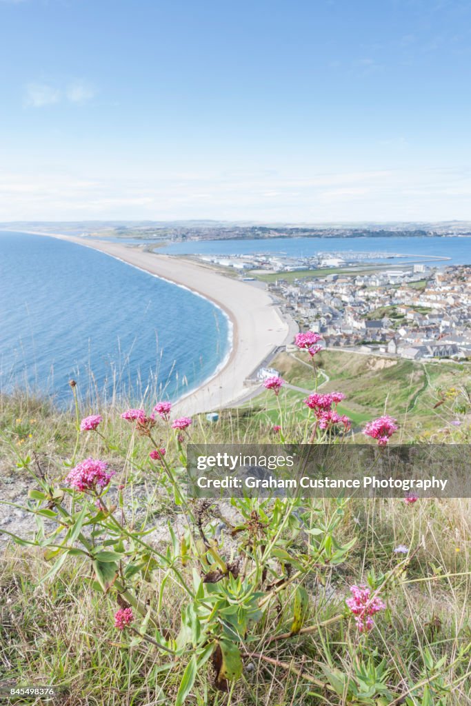 Chesil Beach