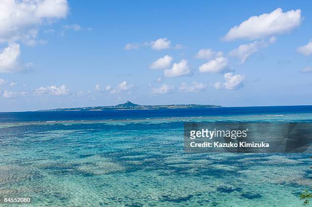 coral sea n island - kazuko kimizuka ストックフォトと画像