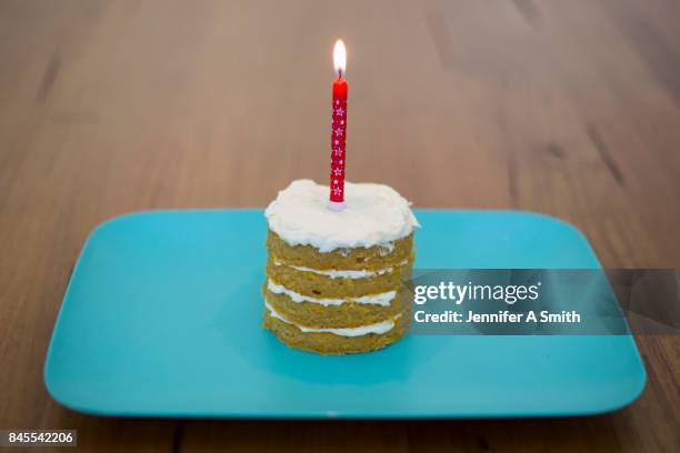 puppy cake - cibo per cani foto e immagini stock