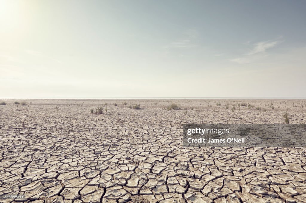 Open plain with cracked mud and clear sky