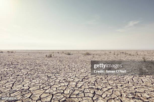 open plain with cracked mud and clear sky - paisagem árida imagens e fotografias de stock