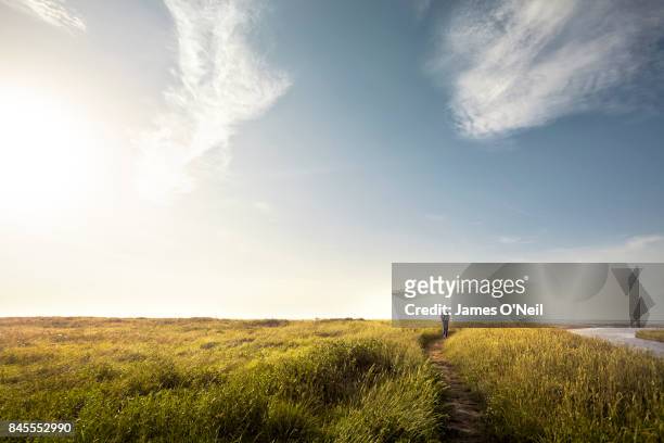 man walking alone down country path at sunset - veld stockfoto's en -beelden
