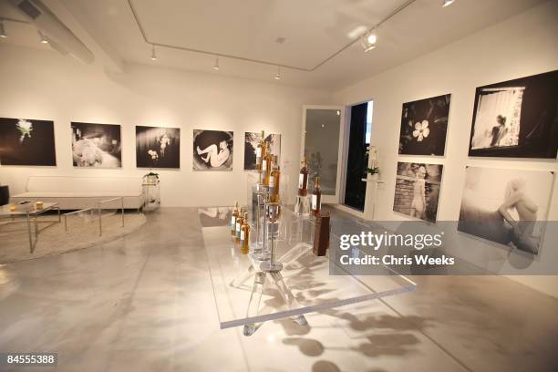 General view of atmosphere is seen at The Macallan's "Master of Photography" series at M+B Gallery on January 29, 2008 in West Hollywood, California.