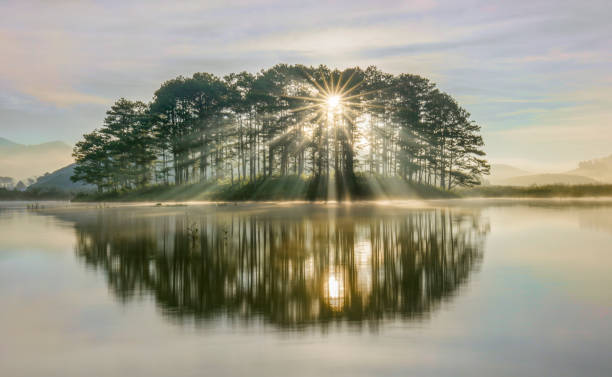 pine island sunray - spring landscape stock pictures, royalty-free photos & images