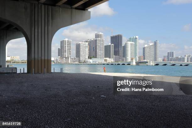 a fisherman looking at the skyline of miami - palmboom stock pictures, royalty-free photos & images