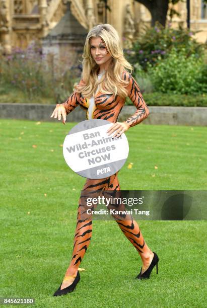 Joanna Krupa attends a PETA photocall painted as a tiger to campaign for a ban on Animal Circuses at Westminster on September 11, 2017 in London,...