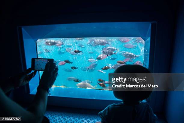Small girl and woman watching fish inside a ferry with submarine vision on their way to Tabarca. Tabarca is a small islet located in the...