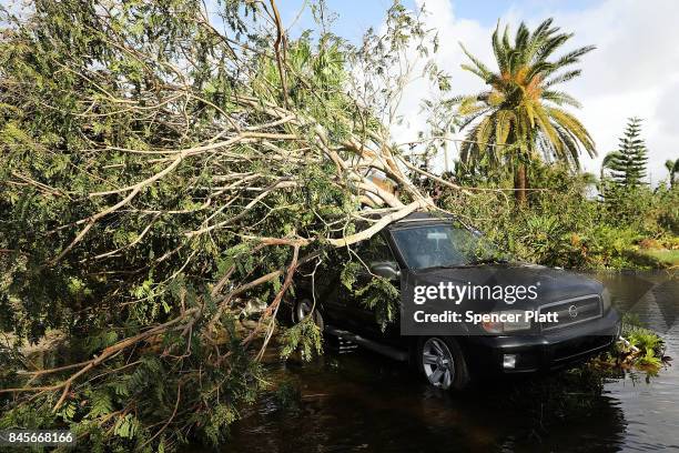 Car covered by a downed tree sits along a flooded road the morning after Hurricane Irma swept through the area on September 11, 2017 in Naples,...