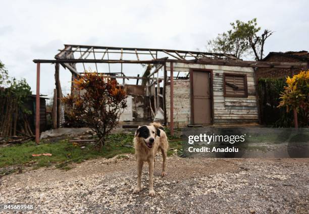 Damaged buildings are seen in Punta Alegre, northern coast of Ciego de Avila province of Cuba after Hurricane Irma passed through the area on...