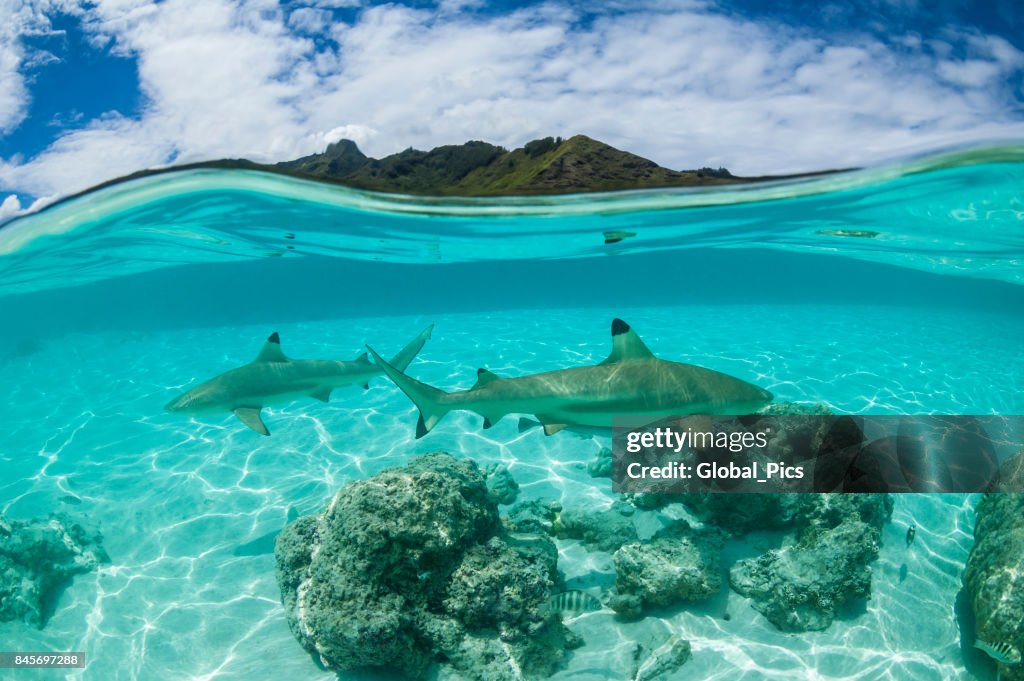 French Polynesia - South Pacific Ocean
