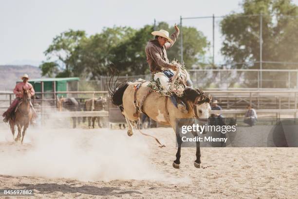 rodeo action bucking bronco cowboy riding wild horse - bucking stock pictures, royalty-free photos & images