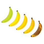 Banana ripeness chart