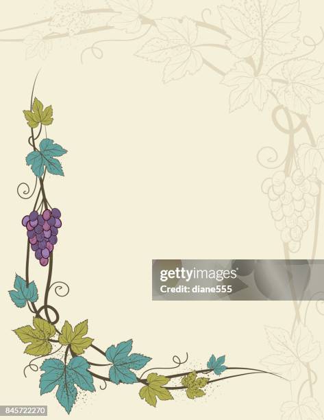 stylized grapevine frame with grapes, leaves and vines - grape vineyard stock illustrations