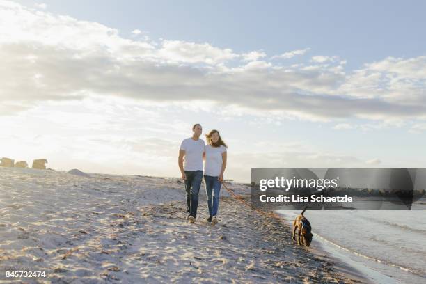 couple with dog walking at the beach - beach sign stock pictures, royalty-free photos & images