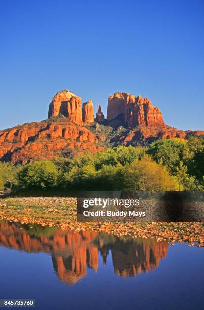 Oak Ridge Az Landscape Oak Trees In Arizona Photos and Premium High Res Pictures - Getty Images