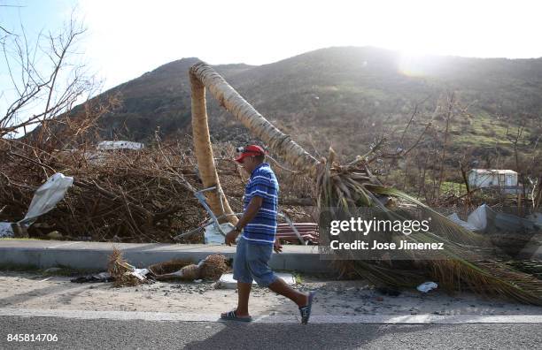 Franklin Sosa from San Pedro Macoris, Dominican Republic, walks past a split palm tree on September 11, 2017 in Philipsburg, St. Maarten. The...