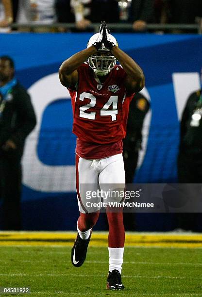 Adrian Wilson of the Arizona Cardinals celebrates after a saftey against the Pittsburgh Steelers during Super Bowl XLIII on February 1, 2009 at...