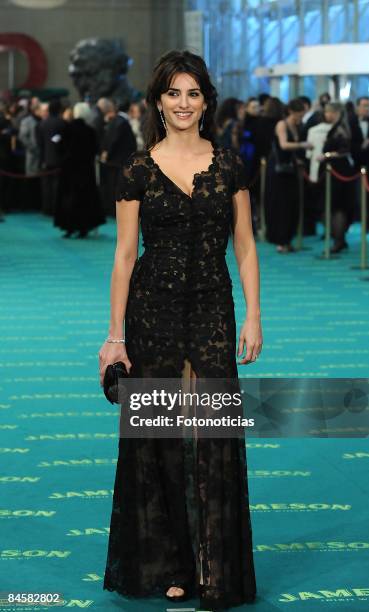 Actress Penelope Cruz arrives at the Goya Cinema Awards ceremony at the Palacio Municipal de Congresos on February 1, 2009 in Madrid, Spain.