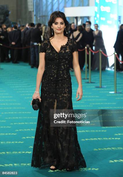 Actress Penelope Cruz arrives at the Goya Cinema Awards ceremony at the Palacio Municipal de Congresos on February 1, 2009 in Madrid, Spain.