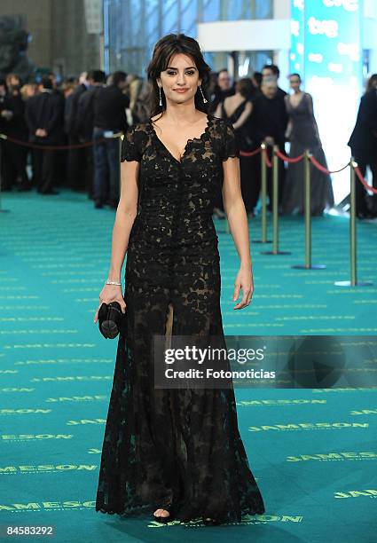 Actress Penelope Cruz arrives at the Goya Cinema Awards ceremony at the Palacio Municipal de Congresos on February 1, 2009 in Madrid, Spain.