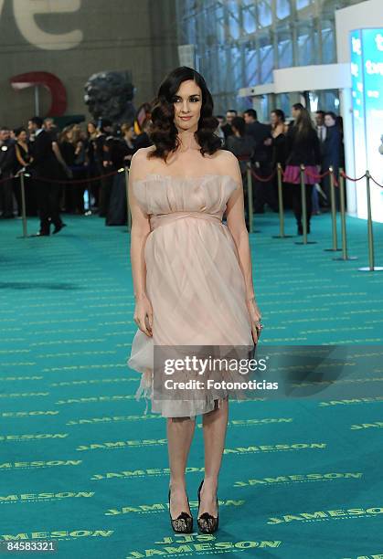 Actress Paz Vega arrives at the Goya Cinema Awards ceremony at the Palacio Municipal de Congresos on February 1, 2009 in Madrid, Spain.