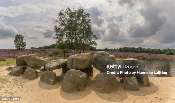 hunebed (dolmen) in drenthe, the netherlands - doelman stock-fotos und bilder